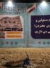 افتتاح و کلنگ زنی 3 پروژه شهری در منطقه یک شهرداری بندرعباس/ افتتاح بزرگترین تونل نور ایران