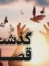زندانی محکوم به قصاص در هرمزگان پس از پنج سال بخشیده شد