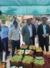کمک به دولت و ورود دستگاه قضایی به موضوع ساماندهی دستفروشان در بندرعباس