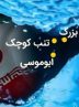 ابلاغ دستور ساخت ۱۱۰ واحد مسکونی در بوموسی