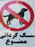 ممنوعیت سگ‌گردانی در بندرعباس