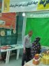 آغاز به کار جشنواره شکرگزاری انبه و یاسمین گل میناب با شعار توسعه صنایع تبدیلی و گردشگری