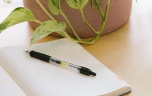 مرغ همسایه غاز است؛