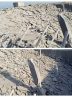نمایش وقیحانه «کمک» آمریکای جنایتکار با طعم موشک و تشنگی در سیریک هرمزگان/ محرومیت ۲۰ هزار نفر از آب شرب در اوج گرمای طاقت‌فرسا با حمله جنایتکارانه آمریکا به سیریک