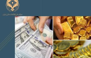آغاز فاز جدید اقدامات قاطع مرکز اطلاعات مالی در برخورد با سوداگران و اخلال‌گران بازار ارز و طلا